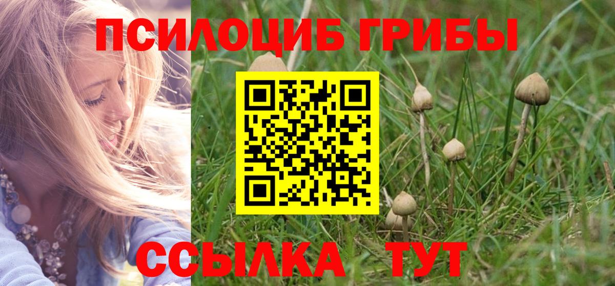 Бор  Псилоцибиновые грибы мицелий  Вход с VPN 